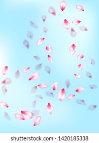 Spring blossom isolated petals flying on blue sky background. Beauty studio concept. Natural marrige decor of chinese cherry petals. Japanese cherry flower parts falling vector pattern.