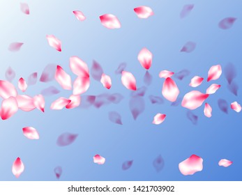 Spring blossom isolated petals flying on blue sky background. Bloom 3d particles. Floral natural blossom soft petals illustration. Japanese cherry flower parts falling vector pattern.