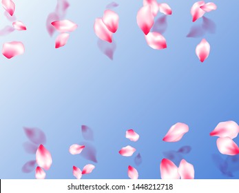 Spring blossom isolated petals flying on blue sky background. Japanese cherry flower parts falling vector pattern. SPA beauty illustration of sakura bloom petals. Garden bloom parts.