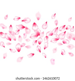 Spring blossom isolated petals flying windy blowing background. Japanese cherry flower parts falling vector pattern. SPA beauty illustration of sakura bloom petals. Spring season backdrop.