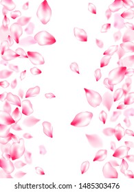 Spring blossom isolated petals flying windy blowing background. Springtime symbols. Floral natural blossom soft petals illustration. Japanese cherry flower parts falling vector pattern.