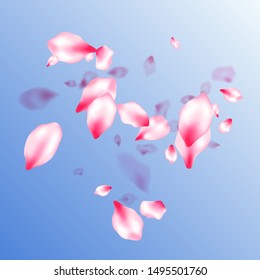 Spring blossom isolated petals flying on blue sky background. Asian poster background. Pastel rose color apple flower petals design. Japanese cherry flower parts falling vector pattern.