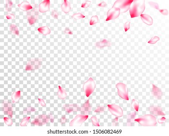 Spring blossom isolated petals flying on transparent background. Japanese cherry flower parts falling vector pattern. Natural marrige decor of chinese cherry petals. Garden bloom parts.