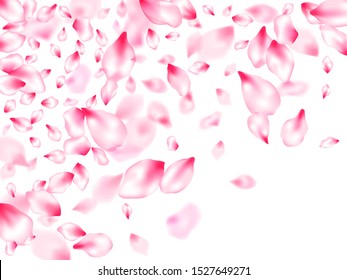 Spring blossom isolated petals flying windy blowing background. Fresh blowing backdrop. Natural marrige decor of chinese cherry petals. Japanese cherry flower parts falling vector pattern.