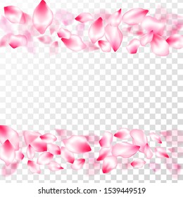 Spring blossom isolated petals flying on transparent background. Japanese cherry flower parts falling vector pattern. Spring or summer light flower petals illustration. Garden bloom parts.