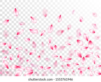 Spring blossom isolated petals flying on transparent background. Oriental composition. Floral natural blossom soft petals illustration. Japanese cherry flower parts falling vector pattern.