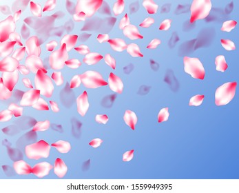 Spring blossom isolated petals flying on blue sky background. Japanese cherry flower parts falling vector pattern. Floral natural blossom soft petals illustration. Delicate spring vector.