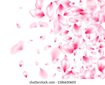 Spring blossom isolated petals flying windy blowing background. Japanese cherry flower parts falling vector pattern. Flower blossom particles, petals rain shower. Close up bloom elements.