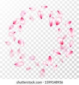 Spring blossom isolated petals flying on transparent background. Japanese cherry flower parts falling vector pattern. Realistic peach flolwer petals natural decor. Fresh blowing backdrop.