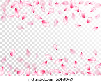 Spring blossom isolated petals flying on transparent background. Japanese cherry flower parts falling vector pattern. Realistic peach flolwer petals natural decor. Delicate spring vector.