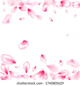 Spring blossom isolated petals flying windy blowing background. Japanese cherry flower parts falling vector pattern. Flower blossom particles, petals rain shower. Blur effect bloom parts.