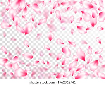 La primavera florece con pétalos aislados que vuelan sobre un fondo transparente. Fondo de soplado fresco. Ilustración de belleza SPA de pétalos de flor de sakura. Piezas de flores de cerezo japonesas cayendo patrón vectorial.