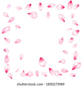 Spring blossom isolated petals flying windy blowing background. Delicate spring vector. Pastel rose color apple flower petals design. Japanese cherry flower parts falling vector pattern.
