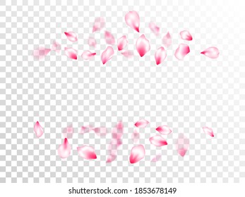 Spring blossom isolated petals flying on transparent background. Bloom 3d particles. SPA beauty illustration of sakura bloom petals. Japanese cherry flower parts falling vector pattern.