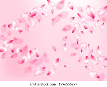 Pétales isolés en fleurs de printemps sur fond rose. Parties de fleurs de cerisier japonaises tombant sous le motif vectoriel. Illustration pétales de fleur de printemps ou d'été. Arrière-plan carte postale.