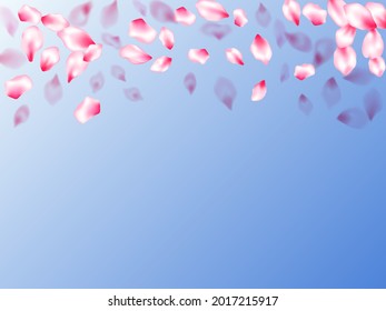 Spring blossom isolated petals flying on blue sky background. Springtime symbols. Pastel rose color apple flower petals design. Japanese cherry flower parts falling vector pattern.