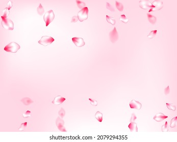 Spring blossom isolated petals flying on rose color background. Abstract card backdrop. Spring or summer light flower petals illustration. Japanese cherry flower parts falling vector pattern.