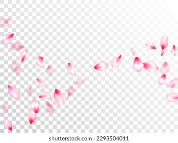 Spring blossom isolated petals flying on transparent background. Bloom 3d particles. Natural marrige decor of chinese cherry petals. Japanese cherry flower parts falling vector pattern.