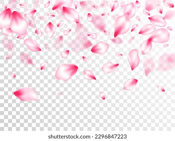 Spring blossom isolated petals flying on transparent background. Japanese cherry flower parts falling vector pattern. Spring or summer light flower petals illustration. Oriental composition.