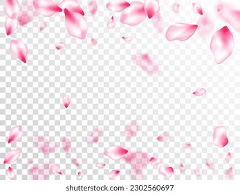 Spring blossom isolated petals flying on transparent background. Japanese cherry flower parts falling vector pattern. Spring or summer light flower petals illustration. Garden bloom parts.