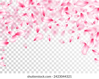 Spring blossom isolated petals flying on transparent background. Wedding celebration eps. Pastel pink blossom petals floral design. Japanese cherry flower parts falling vector pattern.