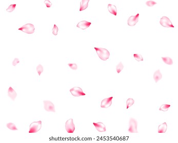 Spring blossom isolated petals flying windy blowing background. Blur effect bloom parts. Natural marrige decor of chinese cherry petals. Japanese cherry flower parts falling vector pattern.