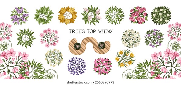 Spring blossom trees and bench for architectural floor plans. Entourage design. Elements for the landscape design plan. Various floral trees, bushes, and shrubs. Vector illustration.