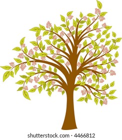 Spring blossoming tree, vector illustration