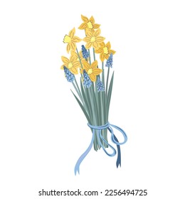 Spring blossoming yellow daffodils and blue hyacinths , springtime blooming muscari and narcissus flowers bouquet, vector isolated illustration