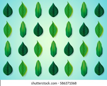 Spring blue background in green leaves.