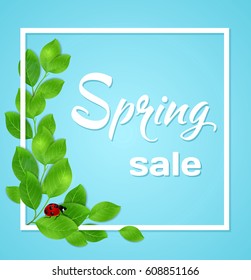 Spring blue background with green leaves and ladybird in white frame