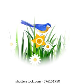 Spring blue bird