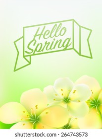 Spring blurred background with flowers