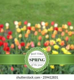 Spring blurred poster with tulips. Vector photo background. Blurred photo background. Backdrop with spring garden. Floral design. Blur. Unfocus. Wallpaper for presentation, advertising, sale, poster.