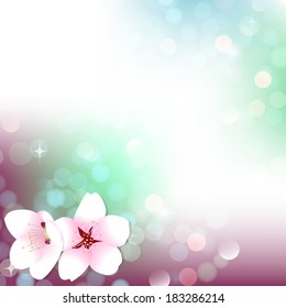 Spring bokeh vector cherry blossom background banner postcard