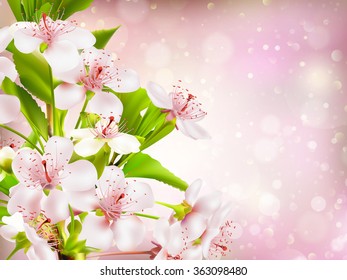 Spring border background with pink blossom. EPS 10 vector file included