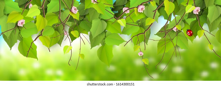 Spring border with branches and leaves in front of a spring landscape.