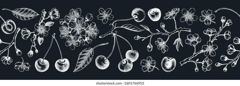 Spring border design. Cherry blossom seamless pattern engraved style.Sakura flowers, berry fruit chalk drawing. NOT AI generated