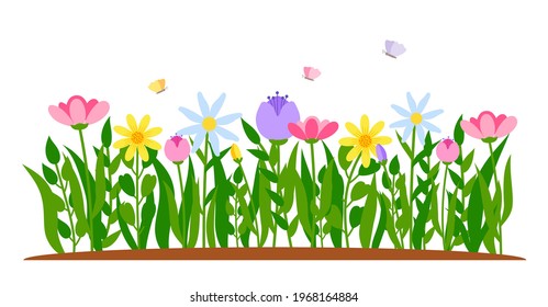 Spring border flowers with butterflies in flat cartoon style. Early flowers growing in grass. Colorful tulip, chamomile flowers. Forest nature springtime landscape design element. Isolated vector illustration