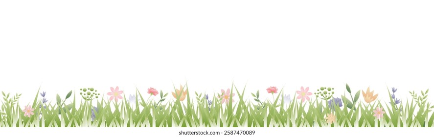 Spring Border Flowers And Grass Background  , Vector Illustration