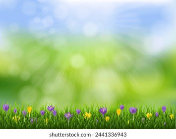 Spring Border And Grass And Flowers 
With Gradient Mesh, Vector Illustration
