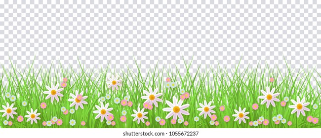 Spring border with green grass and flowers on transparent background - greeting card decoration element for Easter congratulation or poster. Cartoon vector illustration.