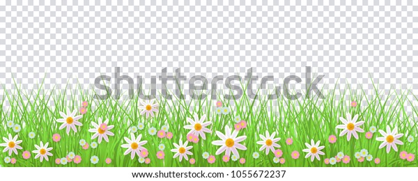 透明な背景に春の国境と緑の草と花 イースターの祝いやポスター用のグリーティングカードデコレーションエレメント カートーンのベクターイラスト のベクター画像素材 ロイヤリティフリー
