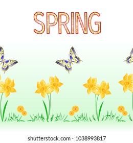 Spring border seamless background butterfly and daffodil vector Illustration for use in interior design, artwork, dishes, clothing, packaging, greeting cards