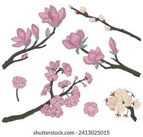 Spring botanical doodles set. Blooming tree branches of magnolia, sakura, willow, apricot. Vector illustrations isolated on white.