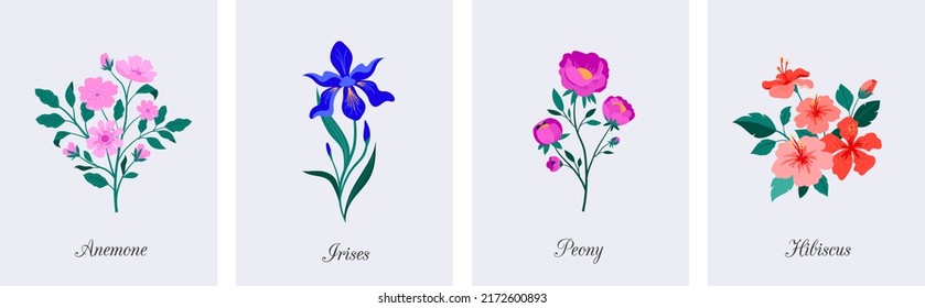 Spring botanical flowers illustrations. Blooming garden flowers. Irises, peony, anemone and hibiscus. Colorful flat illustrations