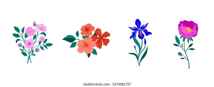 Illustrationen von botanischen Frühlingsblumen. Blühende Gartenblumen. Ire, Peony, Anemone und Hibiscus. 