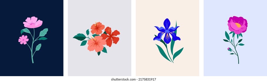 Spring botanical flowers illustrations. Blooming garden flowers. Irises, peony, anemone and hibiscus. Colorful flat illustrations