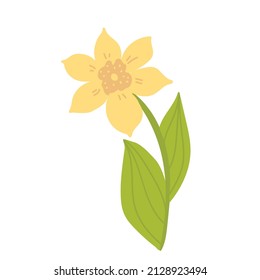 Spring Botanical Illustration, Icon Doodle Yellow Daffodils With Green Leaves. Flower Narcissist Flat, Jonquil