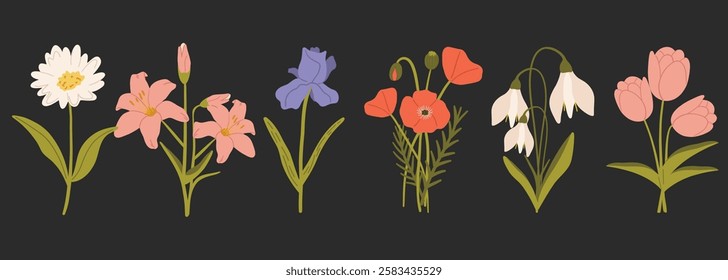 Spring botanical vector illustration. Set of hand drawn spring flowers. Vector illustration in flat style. Floral design